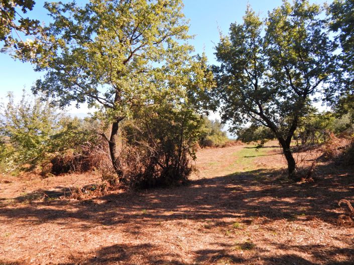 Image No.4-Land for sale