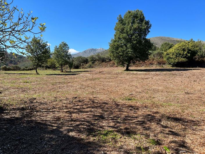 Image No.5-Land for sale