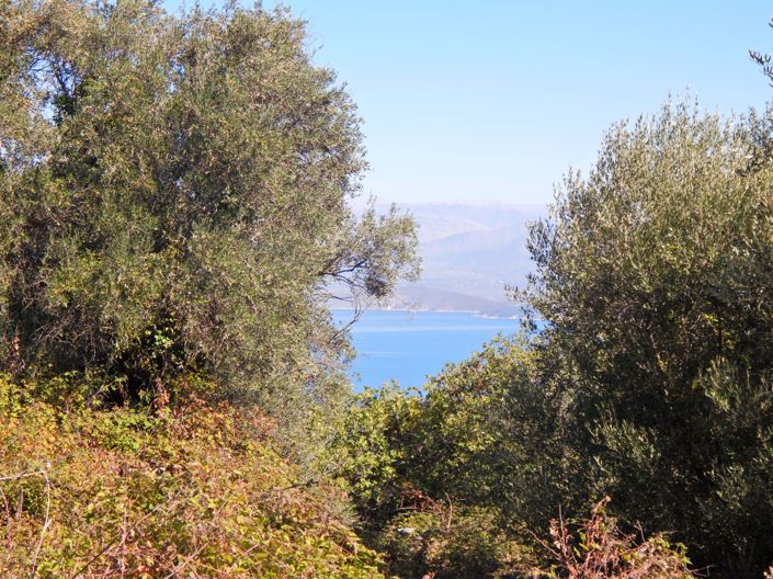 Image No.8-Land for sale