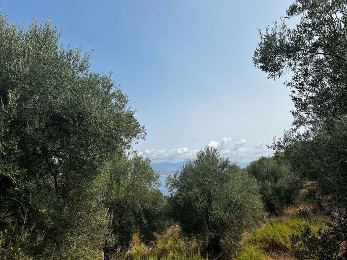 Image No.2-Land for sale