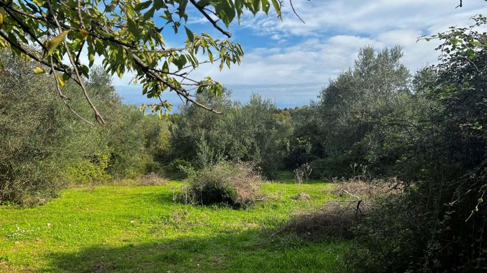 Image No.2-Land for sale