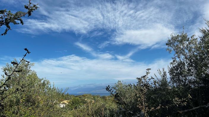 Image No.3-Land for sale