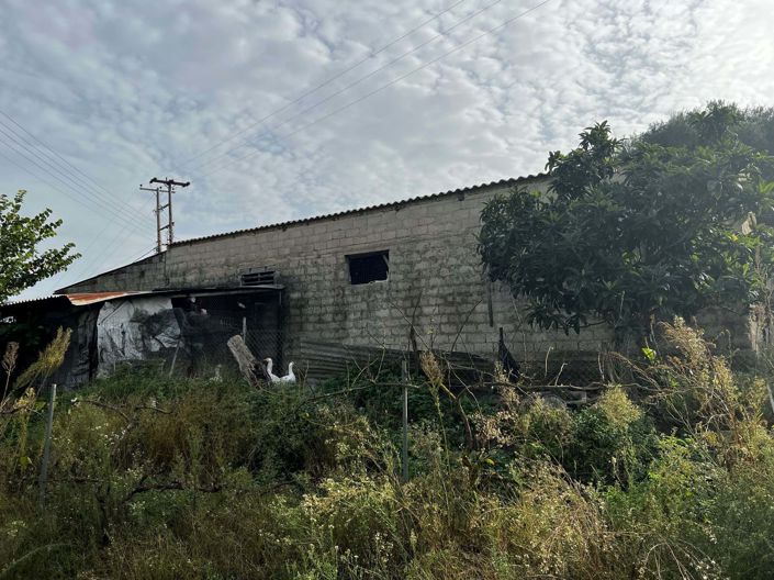 Image No.13-3 Bed House for sale