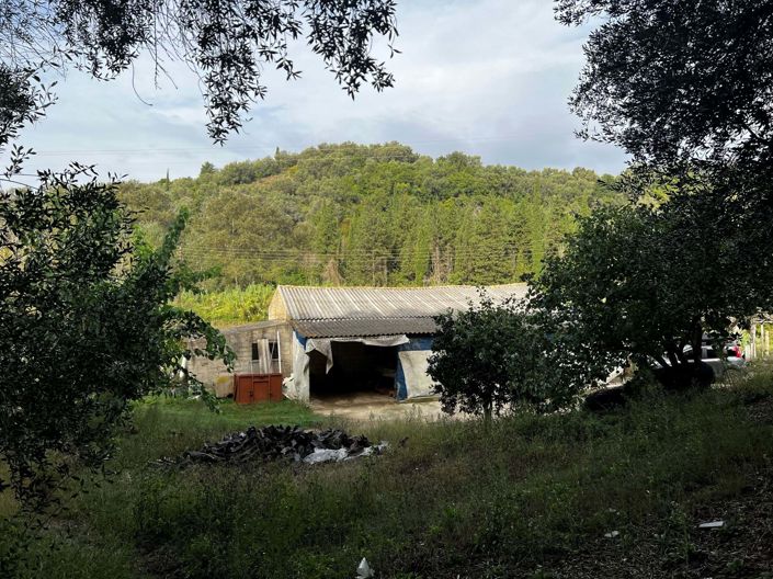 Image No.8-3 Bed House for sale