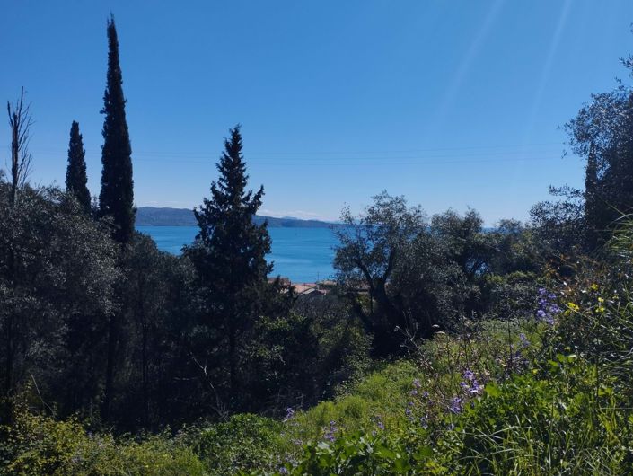 Image No.3-Land for sale