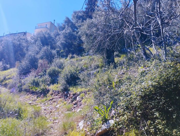 Image No.5-Land for sale