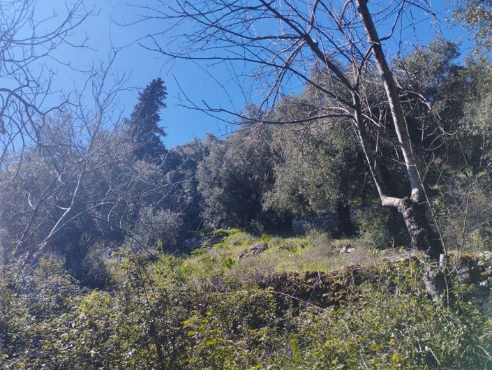 Image No.6-Land for sale