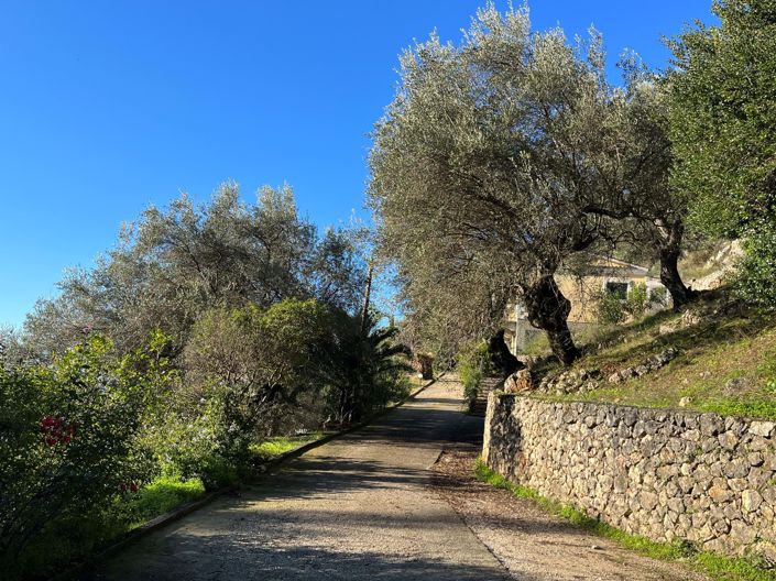 Image No.5-House for sale