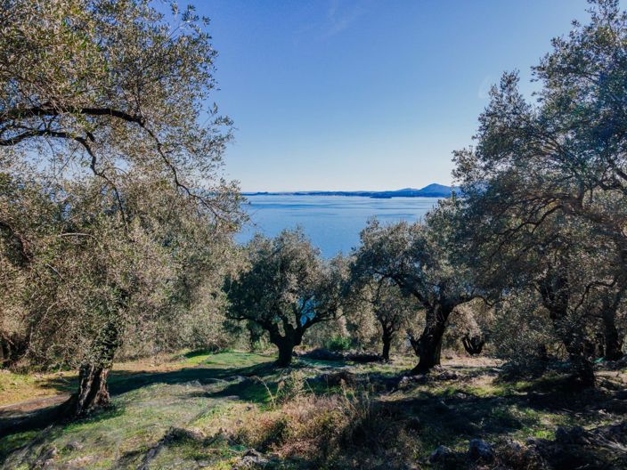 Image No.2-Land for sale