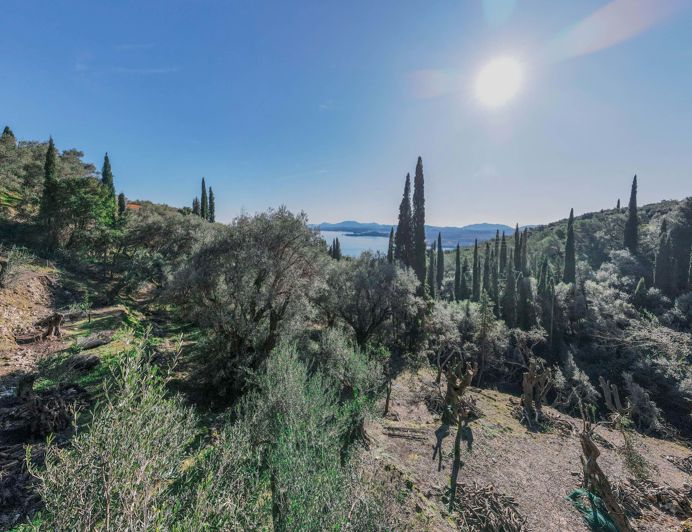 Image No.3-Land for sale