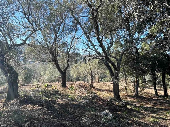 Image No.3-Land for sale