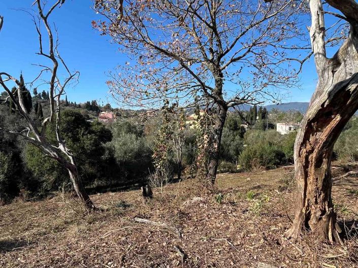 Image No.4-Land for sale