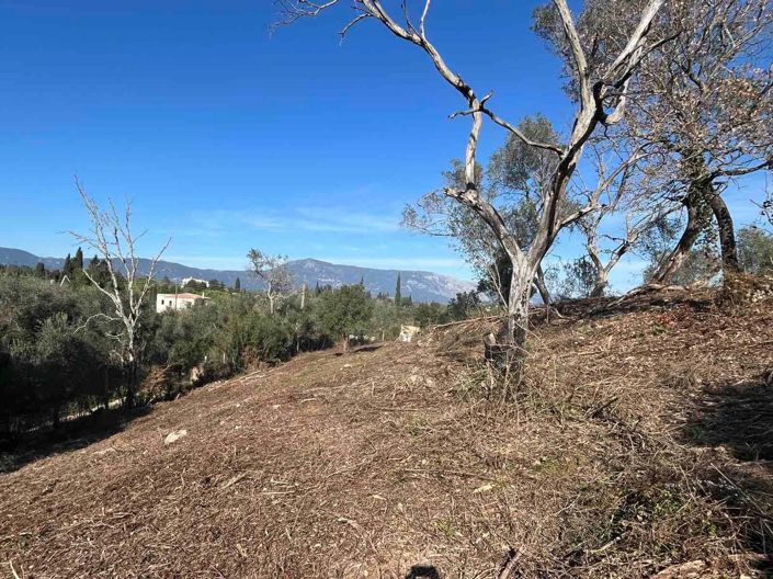 Image No.5-Land for sale