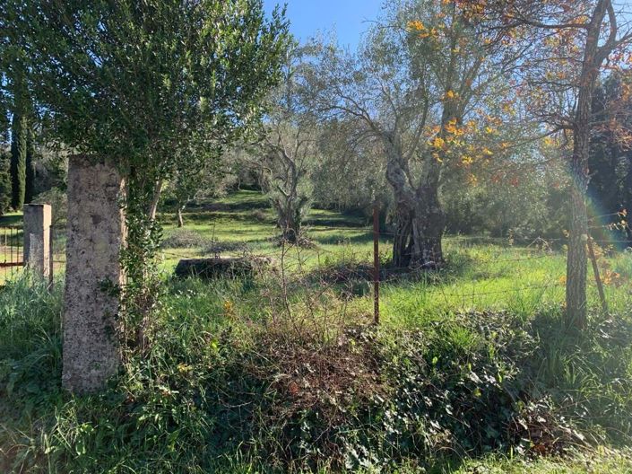 Image No.4-Land for sale