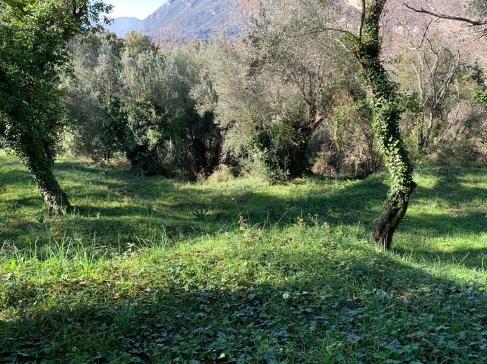 Image No.5-Land for sale