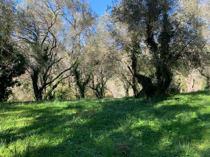 Image No.6-Land for sale