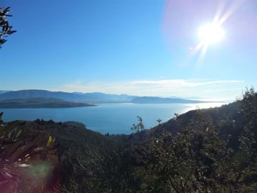 d5a47273-11f7-4d40-b461-abe77bcd284c