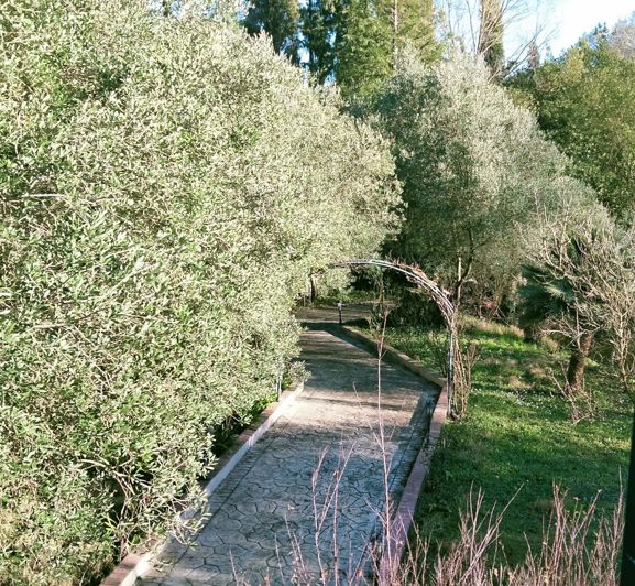 Image No.13-2 Bed House for sale