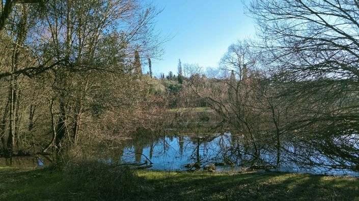 Image No.4-2 Bed House for sale