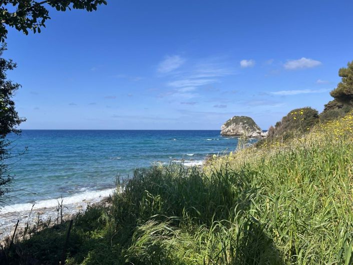 Image No.3-2 Bed House for sale