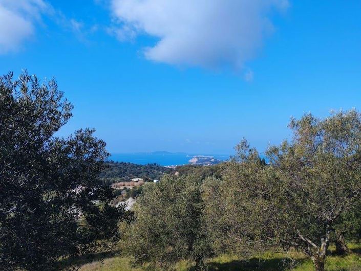 Image No.2-Land for sale