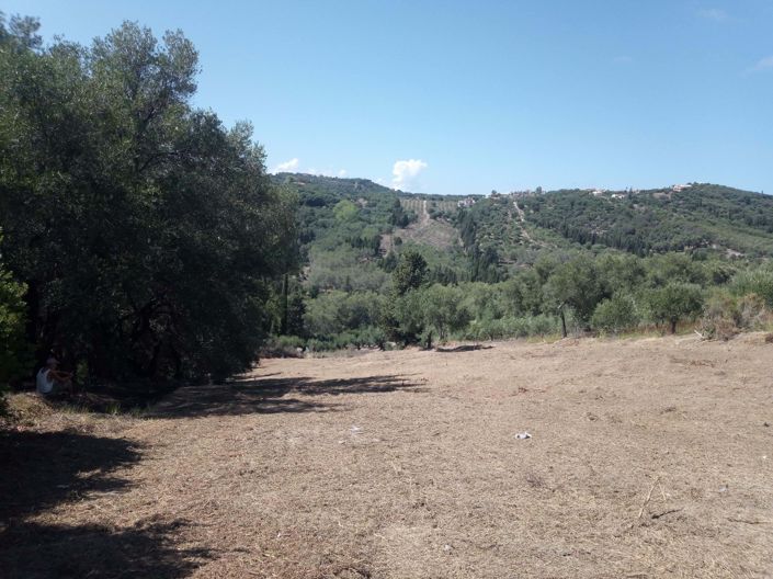 Image No.6-3 Bed Land for sale