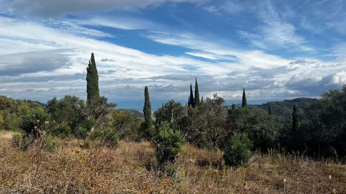 Image No.3-Land for sale