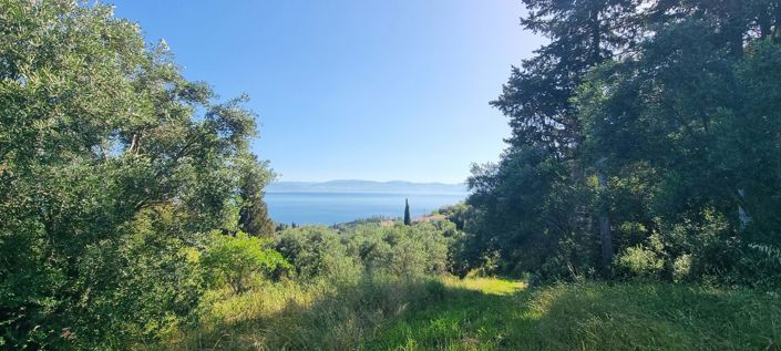 Image No.3-Land for sale