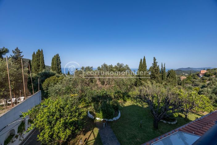 Image No.18-3 Bed House for sale