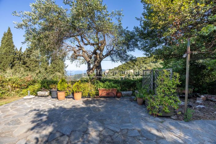 Image No.21-3 Bed House for sale