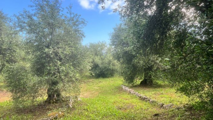 Image No.15-3 Bed House for sale