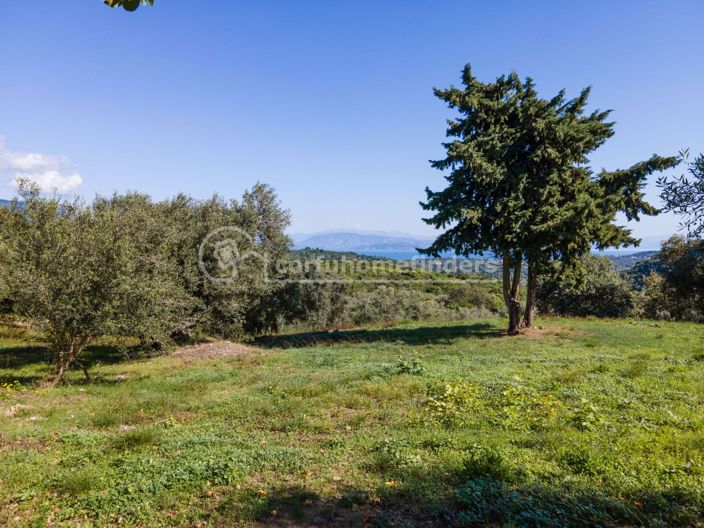 Image No.4-Land for sale