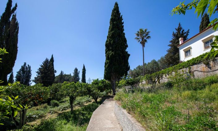 Image No.22-6 Bed House for sale