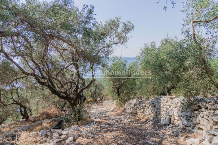 Image No.4-Land for sale