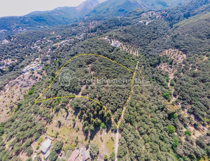 Image No.2-Land for sale