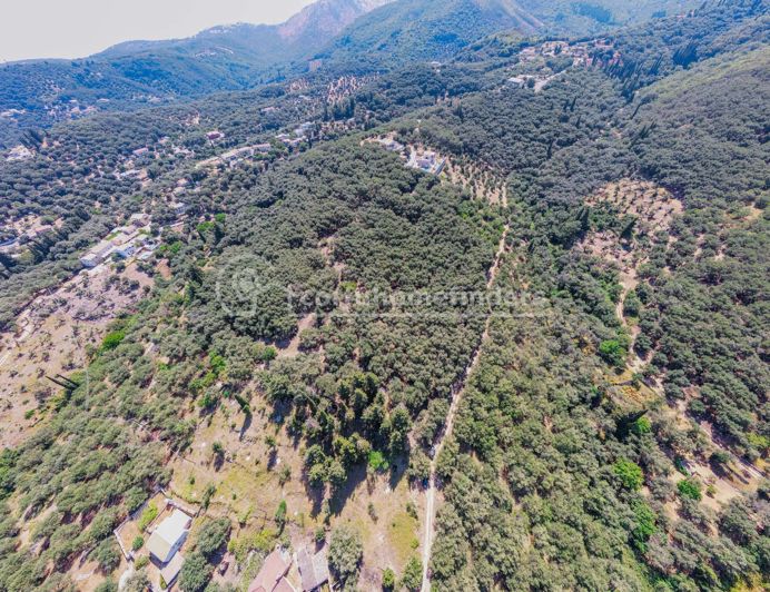 Image No.3-Land for sale