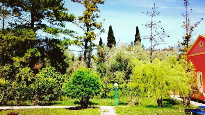 Image No.8-24 Bed Hotel for sale