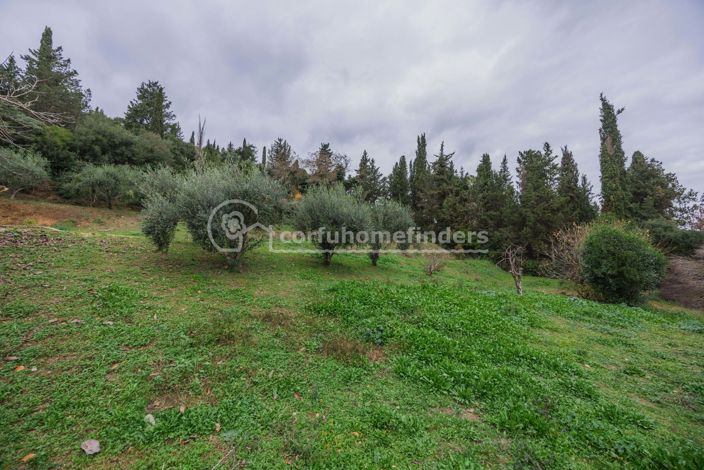 Image No.17-3 Bed House for sale