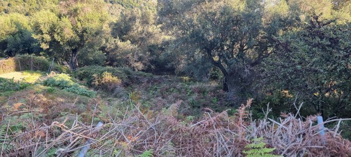 Image No.4-Land for sale