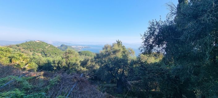 Image No.6-Land for sale