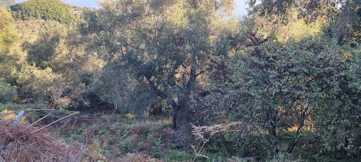 Image No.7-Land for sale