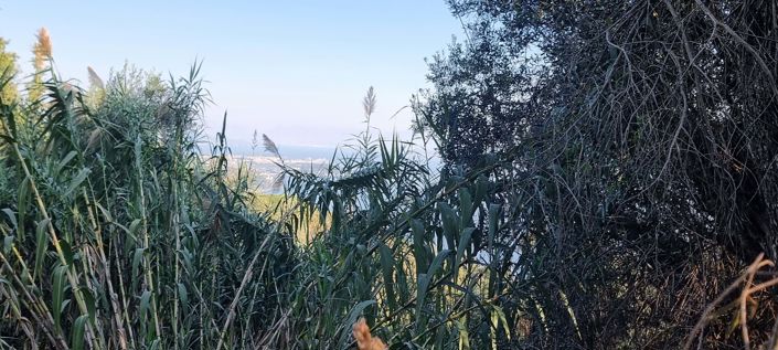 Image No.8-Land for sale