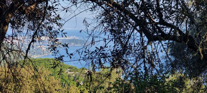 Image No.9-Land for sale