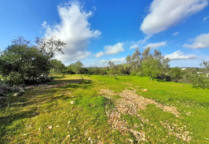 Image No.9-2 Bed Property for sale