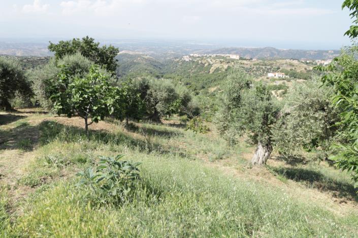 Image No.26-2 Bed Farmhouse for sale