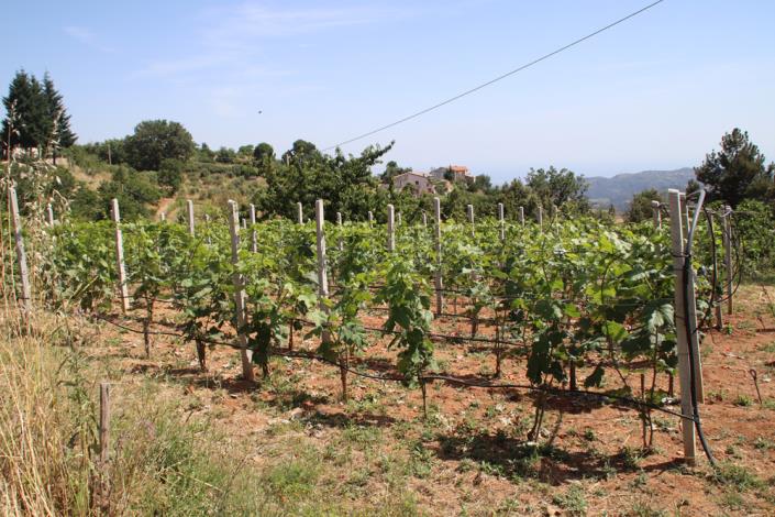 Image No.23-2 Bed Farmhouse for sale