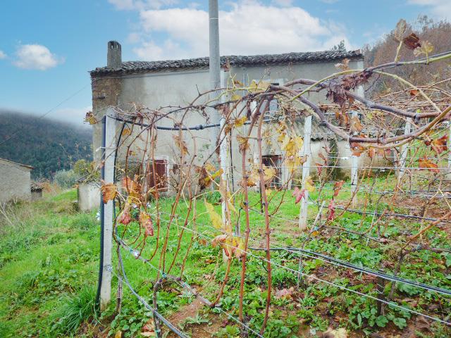 Image No.5-2 Bed Farmhouse for sale