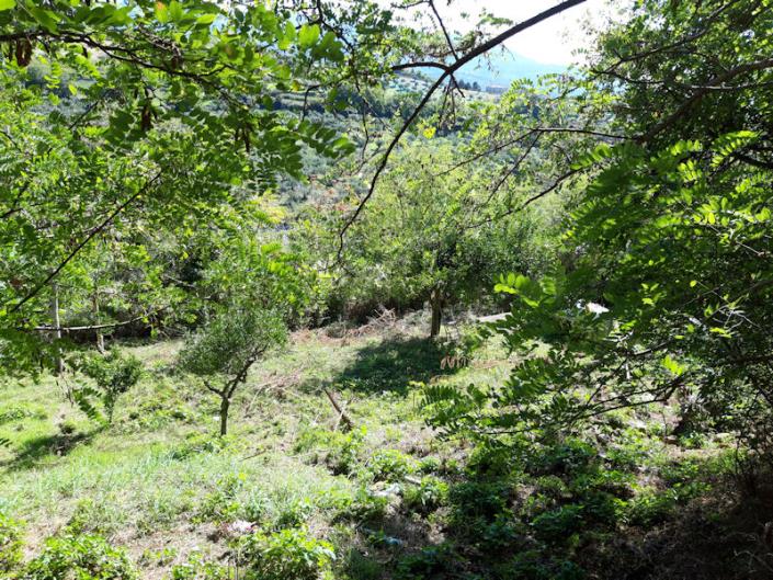 Image No.3-2 Bed House for sale