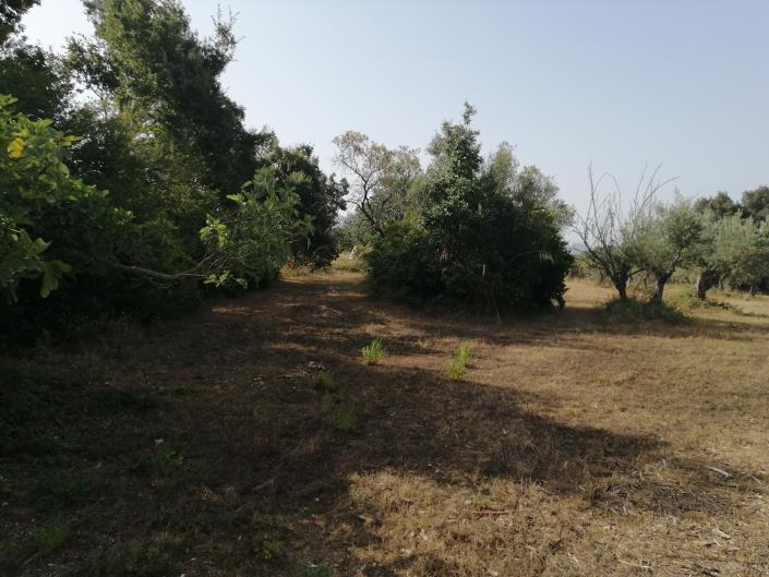 Image No.2-3 Bed Plot for sale