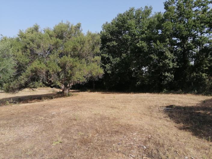 Image No.3-3 Bed Plot for sale